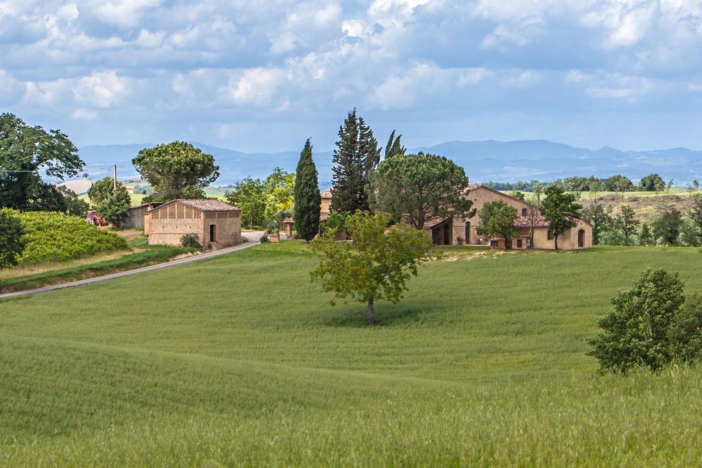 Villa Senese Buonconvento Bagian luar foto